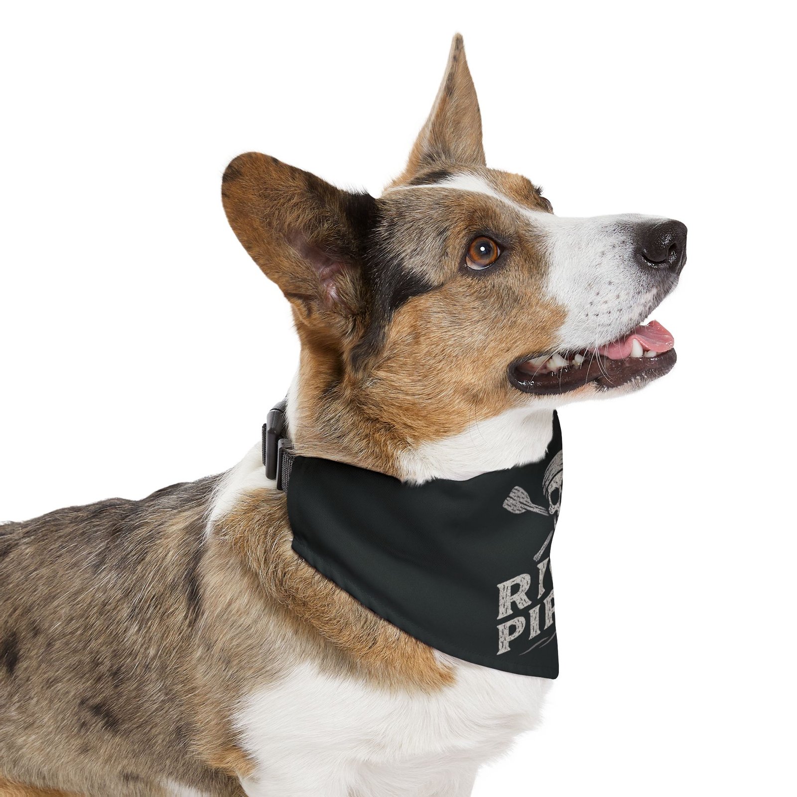 Pirate Pet Bandana Collar - River Pirate Design for Dogs - White on Black - Image 11
