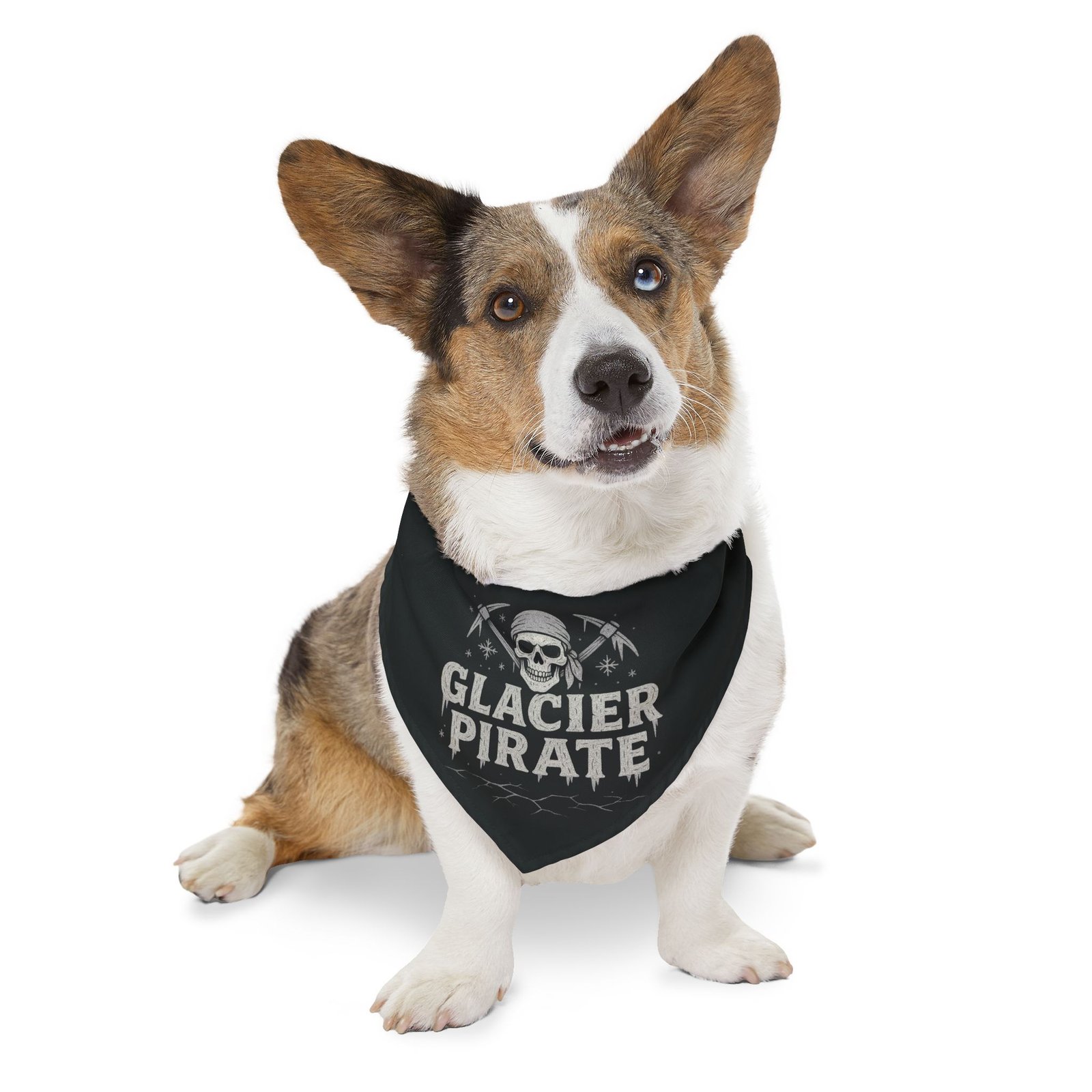 Pirate Pet Bandana Collar - Glacier Pirate Design for Dogs - White on Black - Image 10